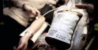 Empresa oferece transfusões de sangue de adolescentes para quem quer lutar contra o envelhecimento