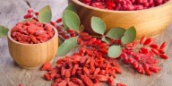 Goji Berry - O que é importante saber