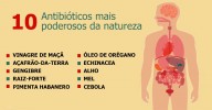 0s 10 antibióticos naturais mais poderosos conhecidos pela humanidade