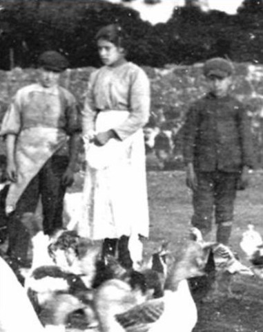 A única fotografia conhecida de Santa Maria Goretti, alimentando os animais, em 1902.