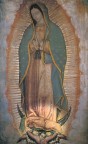 A história de Nossa Senhora de Guadalupe (vídeo)