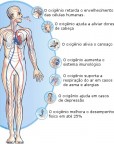 Benefícios do oxigênio para o corpo