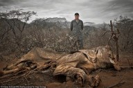 ‘A TERRA SERÁ POSTA EM DESOLAÇÃO...’(Miquéias 7,13) - Cientistas avisam: a sexta grande extinção em massa está aí, e é causada pelo homem