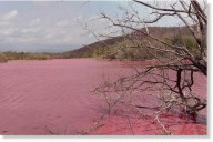 Lagoa torna-se vermelha como sangue no México