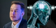 Musk quer implantar chip no cérebro para conectar humanos à máquinas