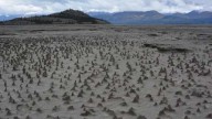 Imenso rio desaparece em quatro dias no Canadá