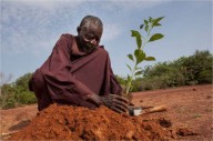 Yacouba Sawadogo - o homem que parou o deserto