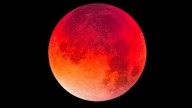 Céu terá super lua de sangue e anel de fogo, respectivamente, em maio e junho de 2021