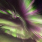 Como uma Fênix de fogo:  o incrível show de auroras sobre Senja, na Noruega 