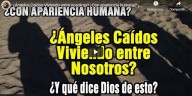 Anjos caídos vivendo entre nós? Com aparência humana? (vídeo)