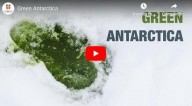 Neve fica verde na Antártica