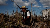 O CAVALEIRO DA FOME (Ap 6, 5-6)     Fome de proporções bíblicas paira sobre a humanidade devido ao Corona